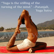 Hatha Yoga Classes - Avatar Yoga School