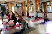 Holistic Yoga Teacher Training in Rishikesh