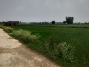 2 Bigha Farm Land for sale in Maldhan chaur,  Ramnagar,  Nainital