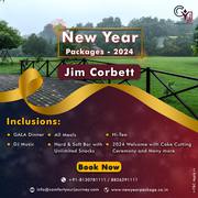 Celebrate the arrival of 2024 with New Year Packages in Jim Corbett