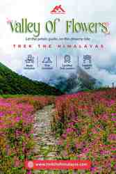 Let the Petals Guide You – Valley of Flowers Trek