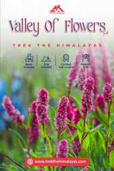 Valley of Flowers in Uttarakhand